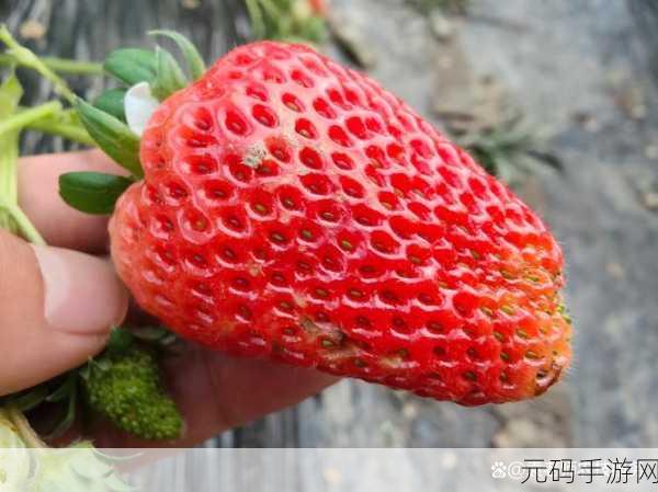 草莓苹果ios,草莓水果消除-开心消除游戏