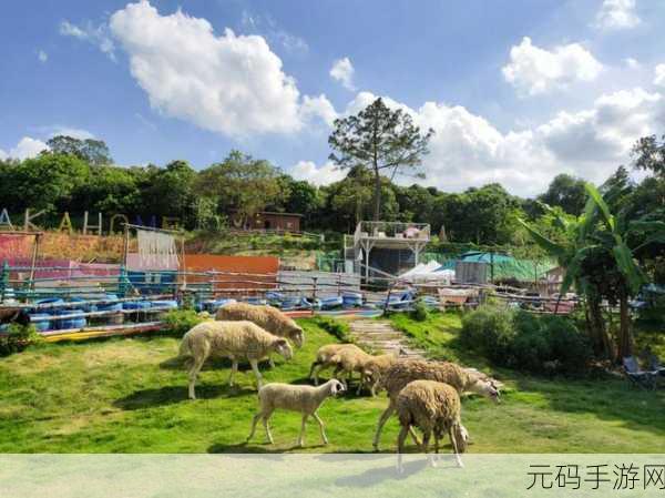 ZoomkooL牧场与动物保护,奇妙动物之旅:我的梦幻牧场