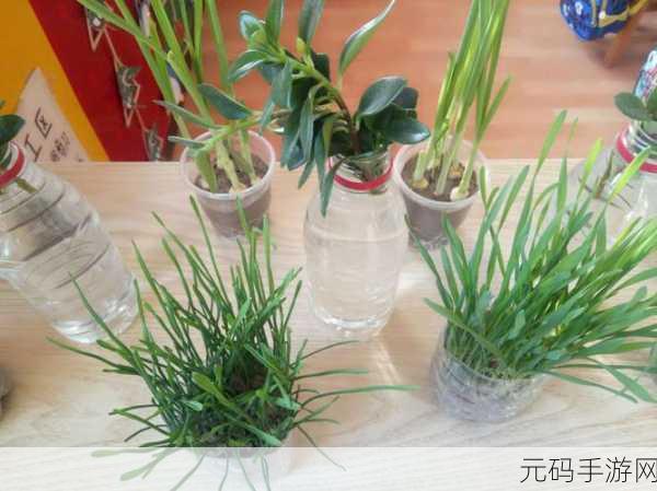 苏软软优质灌溉系统汉怡昏,灌溉小能手:种植达人养成记