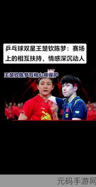 王楚钦微博取关陈梦,《乒乓球大师》人气选手王楚钦与陈梦好感度清零