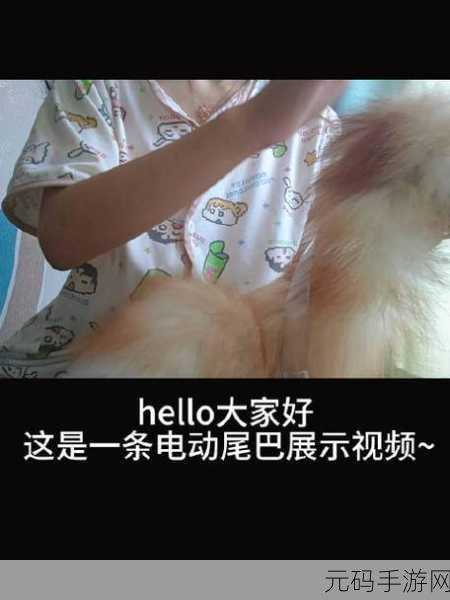 尾巴插件play冰球玩家评价,冰球竞技手游《尾巴插件》玩家口碑测评