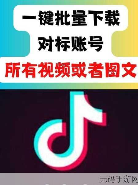 成品禁用免费看短视频下载,热门短视频免费观看神器