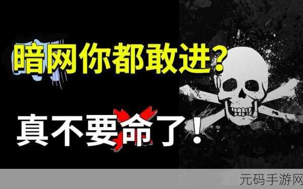 51暗网吃瓜,暗网爆料大作战