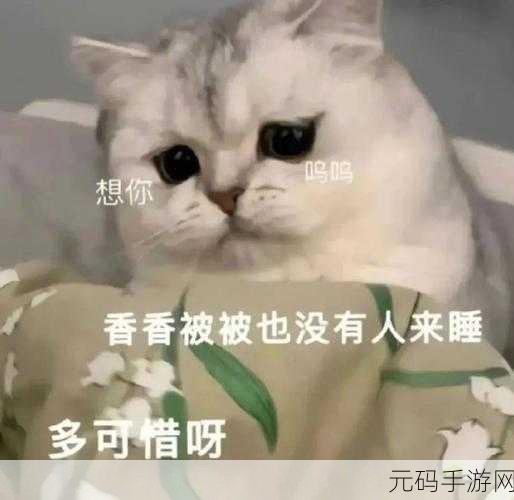吃女生小头头视频,萌趣女生表情包大合集