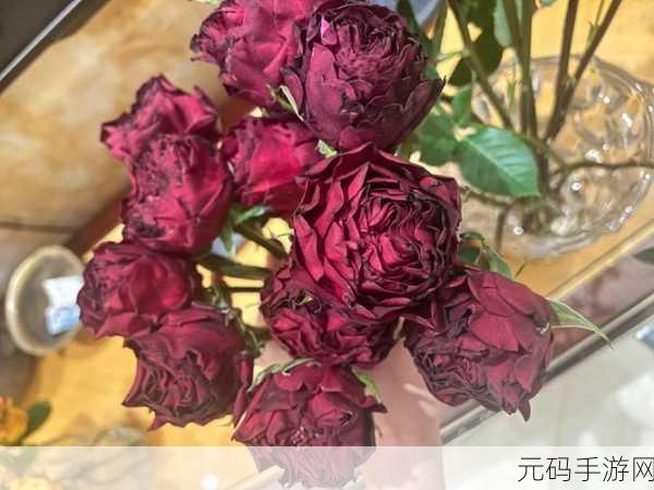 室友突然长出花cue怎么办,室友变异成花仙子该如何应对