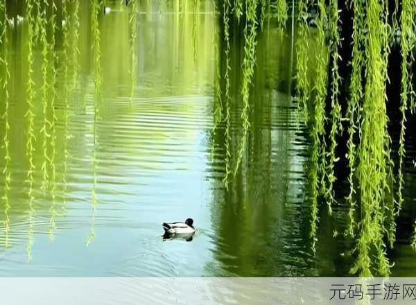 桃花洞口芳草凄凄,桃花仙境探秘录