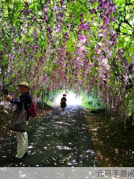 伊甸园入口,神秘花园探险