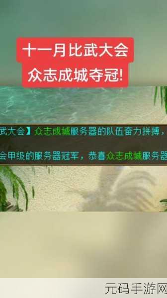 冠军的比武任务在哪做,如何完成比武任务获得冠军称号