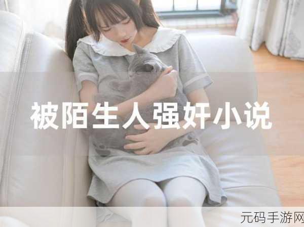 母亲被强奸的小说，寻找失踪的妈妈