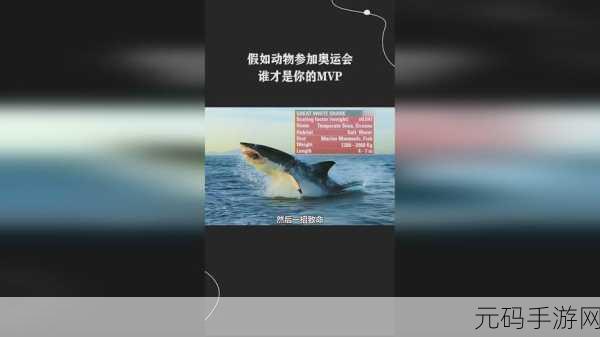 拨萝卜打扑克不盖被子,萝卜大作战:欢乐扑克夜