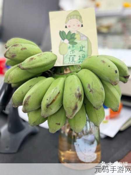 太阳城香蕉视频,阳光水果乐园