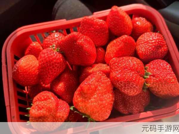 草莓视频404,草莓短视频 - 新版本更新中