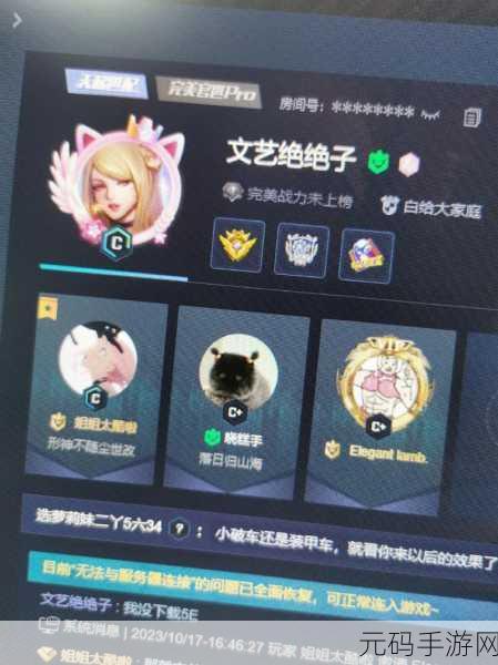 暴躁老阿姨玩csgo,王者荣耀萌新奶奶暴躁开黑