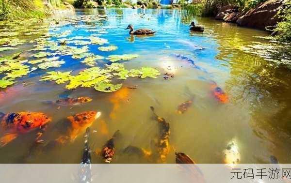 地心护核者鱼池,深海守护者:鱼池奇缘