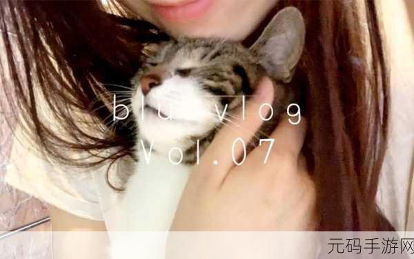 糖心logo柚子猫,甜心萌宠 - 柚子喵