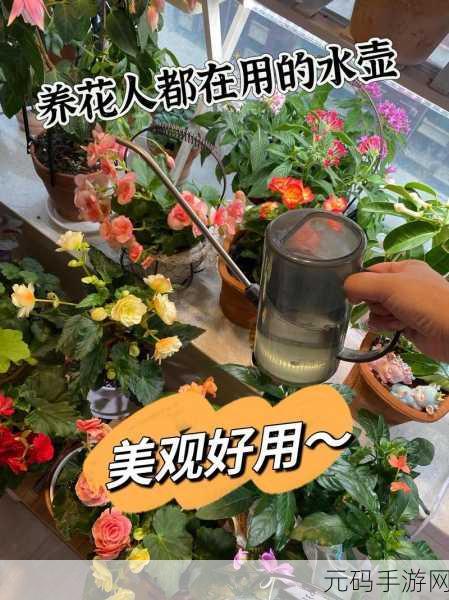 女人让亲小花园怎么回复,如何优雅回应女友的亲密请求