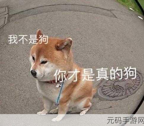 我的老公是只狗一郎，萌宠恋爱：我的专属汪系男友