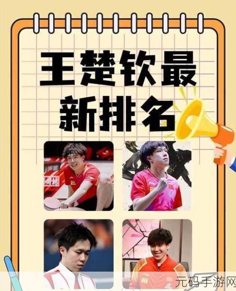 王楚钦微博,王楚钦的乒乓人生