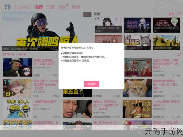 哔哩哔哩污染版入口,哔哩哔哩趣味版
