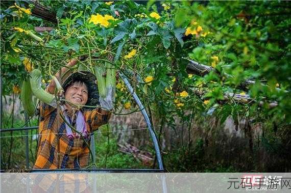 丝瓜视频成人,丝瓜视频 - 成年人的休闲娱乐