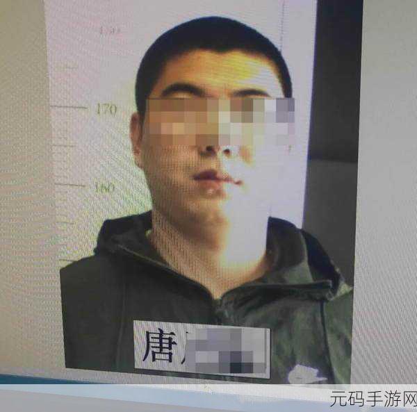草留,草语时光