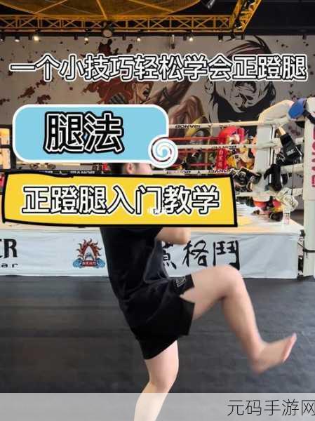 雷电腿法娴熟脚法视频,格斗大师:超强腿法连招教学