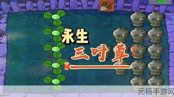 欧美最新黄色网址三叶草,三叶草探险记 - 欧美风格冒险游戏