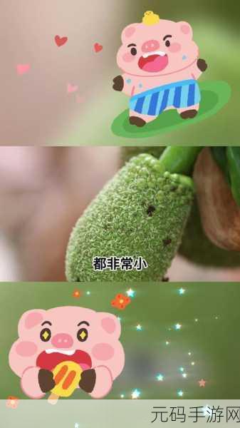 菠萝蜜视频在线观看免费,菠萝蜜短视频 - 趣味短片社区