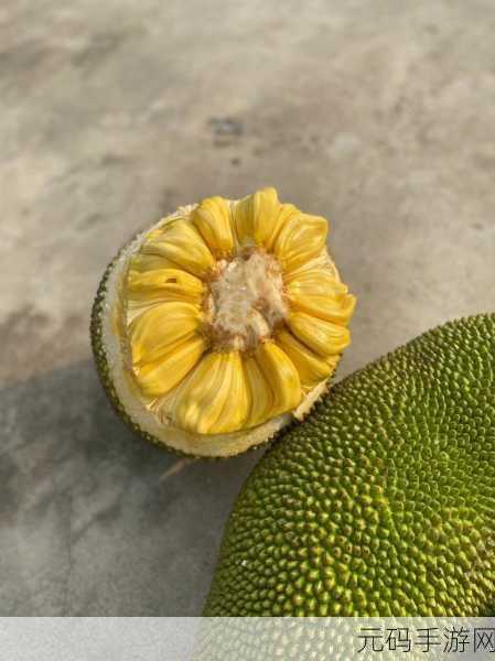 菠萝蜜视频高清免费看亮点,菠萝蜜短视频 - 精彩内容随心看