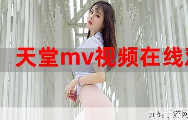 国产mv日韩mv欧美mv,精选音乐视频合集