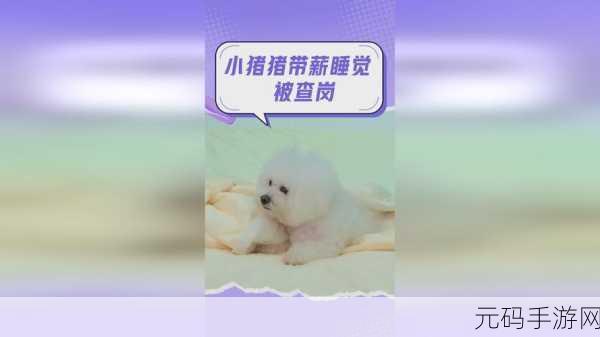 拔萝卜不盖铺盖,拔萝卜大作战