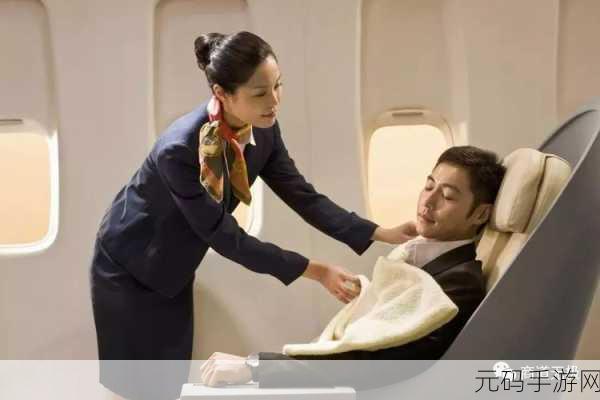 头等舱客服的特殊待遇2中字,VIP贵宾服务大作战2