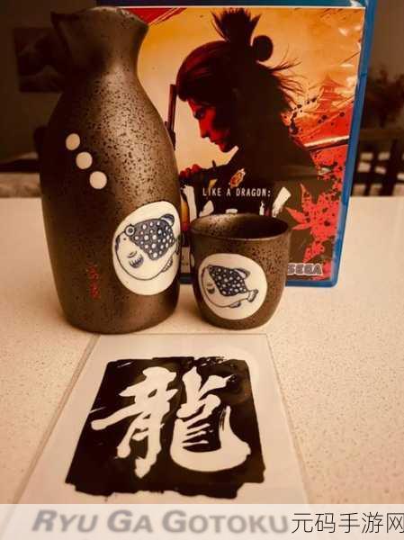 如龙维新极鱼饵购买指南，位置与价格全解析