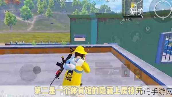 和平精英隐身在线技巧揭秘,掌握这些方法,让你悄无声息地游戏