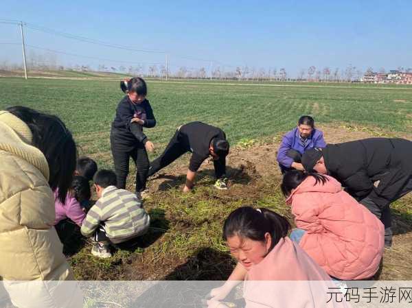拔萝卜 生猴子,萝卜大作战:猴王争霸