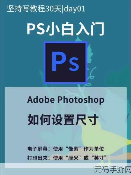 轻松掌握 PS 图片大小调整秘籍