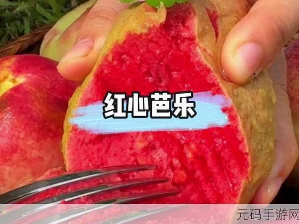 草莓视频芭乐十八,甜心视频 - 轻享欢乐时光