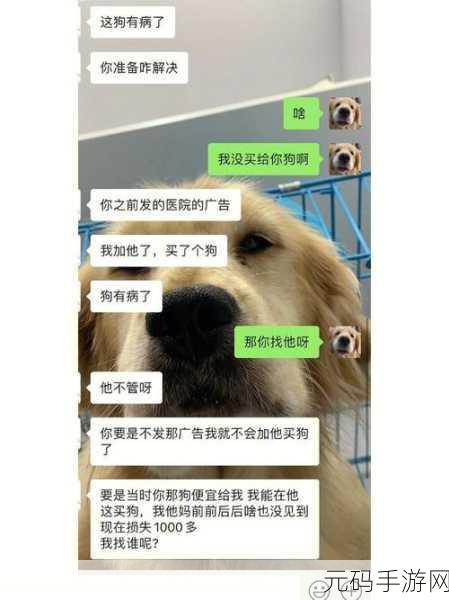 我和我的狗老公山本,与汪汪王子的浪漫冒险