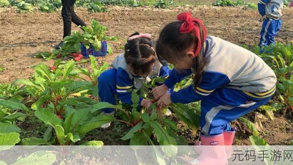 男女在床上拔萝卜，欢乐拔萝卜大作战