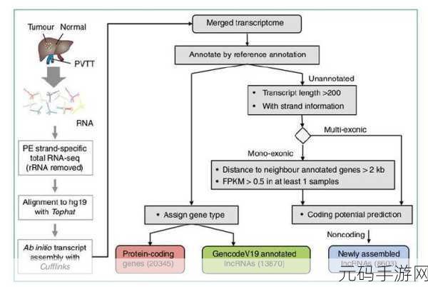探索 LncRNA 数据库,实用教程全解析