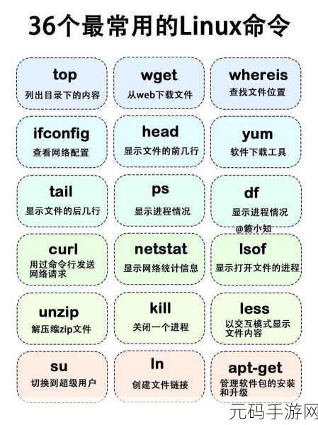 探索 Linux SSH 命令的常用组合秘籍