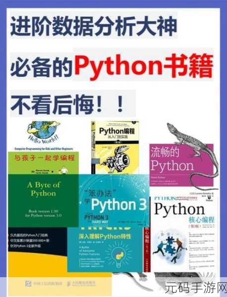 Python 环境变量配置秘籍,轻松搞定的详细指南