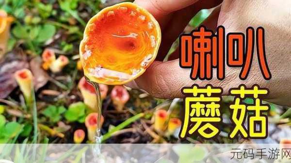蘑菇视频黑料爆料事件,蘑菇短视频大瓜来袭