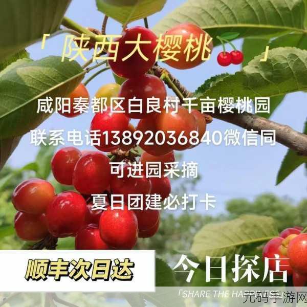 阴桃直播，桃趣直播