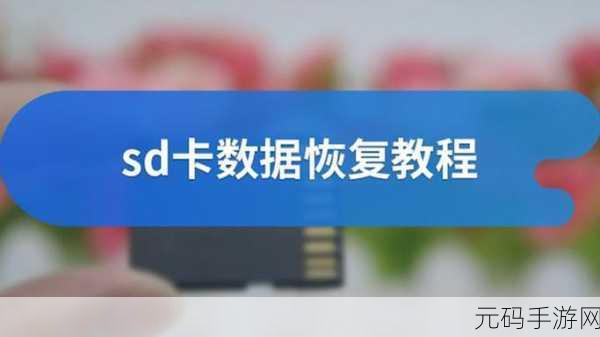 SD 卡文件神秘消失?恢复秘籍大公开!