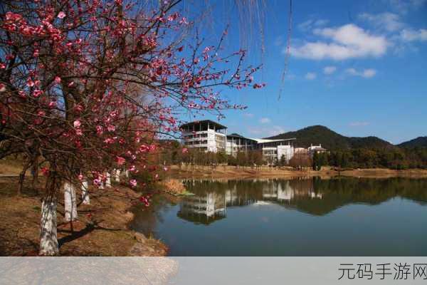 浙江农林大学夏婧茹,绿野仙踪 - 茹茹的森林冒险