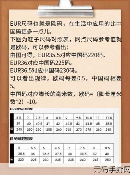 国产尺码和欧洲尺码表2024，球鞋尺码换算器：国欧码一键对照