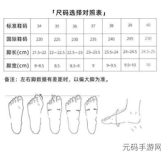 国产尺码和欧洲尺码表2024，球鞋尺码换算器：国欧码一键对照