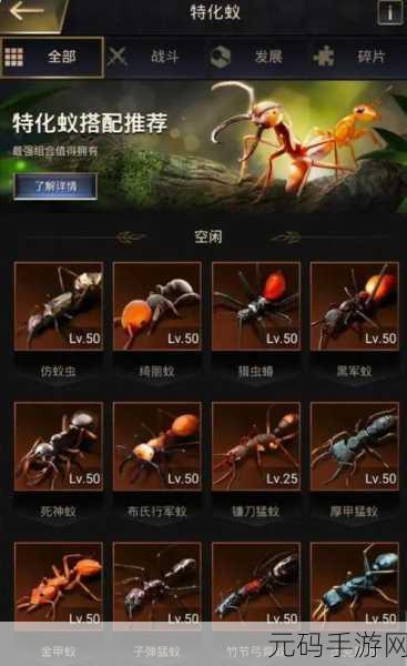 手游资讯指令，揭秘小小蚁国建筑升级资源全攻略