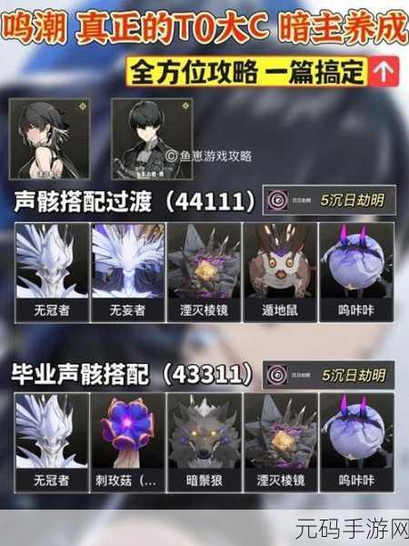 鸣潮湮灭漂泊者全方位养成指南,解锁手游新纪元